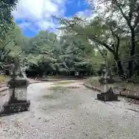 八幡社(柏井町)の狛犬
