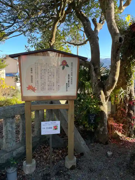 高尾山穂見神社(静岡県)