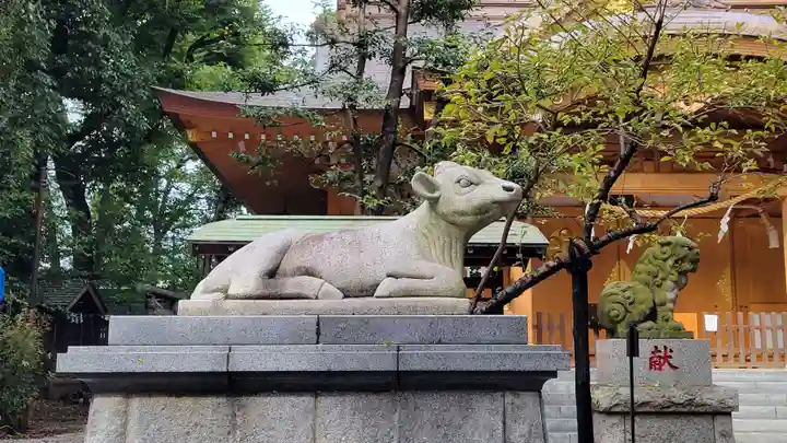 小金井神社の狛犬