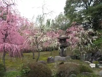 城南宮(京都府)