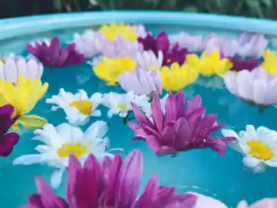 開成山大神宮の手水舎