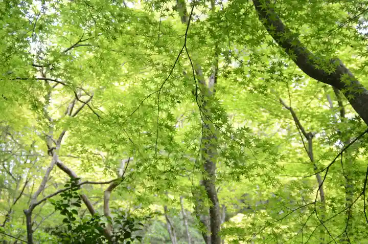 祇王寺(京都府)