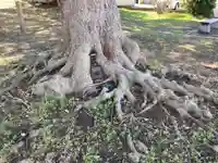 八坂神社(神奈川県)