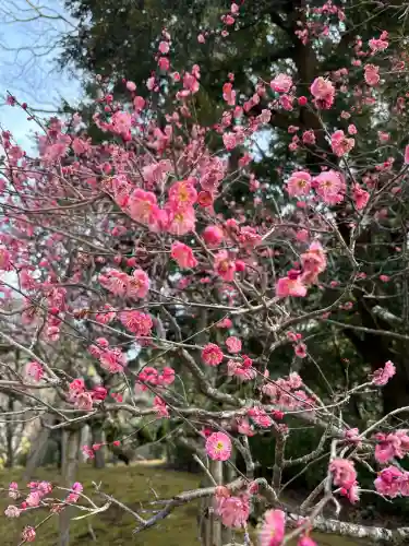 成田山平和大塔の{uncategorized: "未分類", other: "その他", undefined: "問題あり", building: "その他建物", grave: "お墓", sacred_gate: "鳥居", guardian: "狛犬", statue: "像", buddha: "仏像", history: "歴史", nature: "自然", garden: "庭園", animal: "動物", pagoda: "塔", temizu: "手水舎", mountain_gate: "山門・神門", sanctuary: "本殿・本堂", subordinate: "末社・摂社", art: "芸術", scenery: "景色", jizo: "地蔵", ema: "絵馬", goshuin: "御朱印", omikuji: "おみくじ", items: "授与品その他", amulet: "お守り", goshuincho: "御朱印帳", eats: "食事", festival: "お祭り", votive_dance: "神楽", shichigosan: "七五三参", wedding: "結婚式", experience: "体験その他", initially: "初詣", around: "周辺", anti_infection: "感染症対策"}