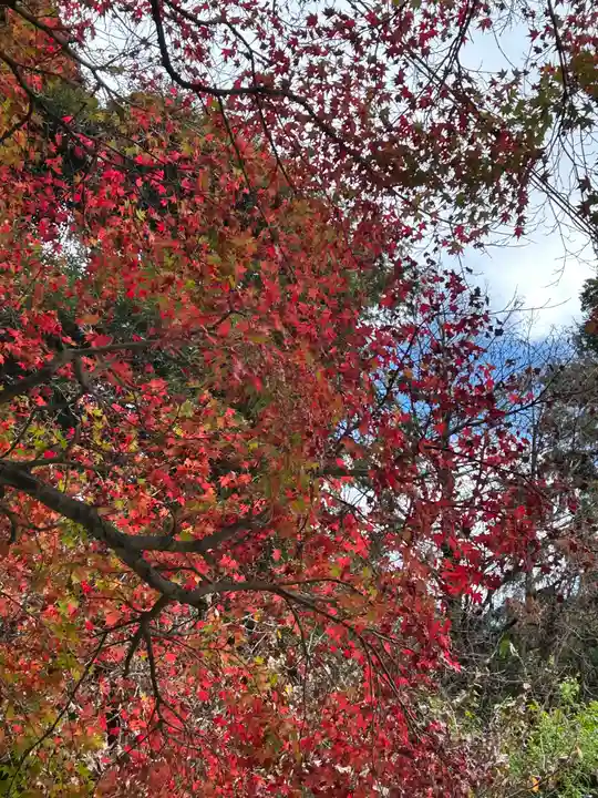 普門寺(切り絵御朱印発祥の寺)(愛知県)
