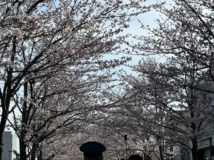 鶴岡八幡宮の景色