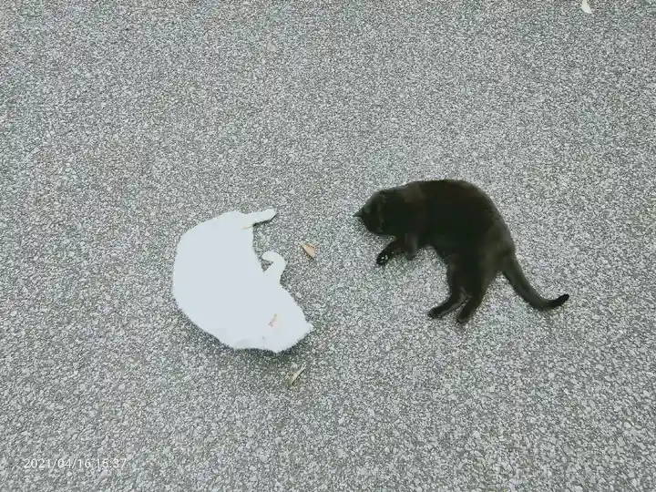 唐澤山神社の動物