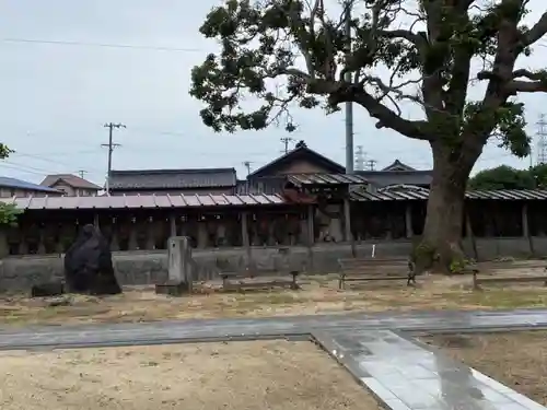 金蓮寺の像