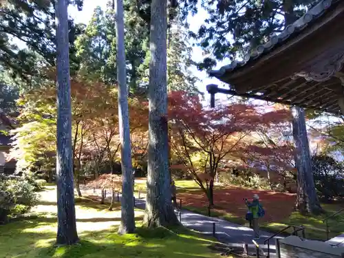 三千院門跡(京都府)