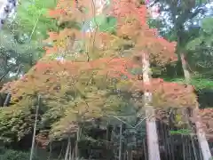 今熊野観音寺(京都府)