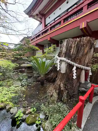 秩父神社(埼玉県)
