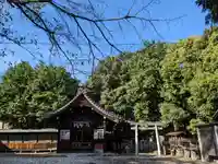 八幡社(柏井町)の本殿・本堂