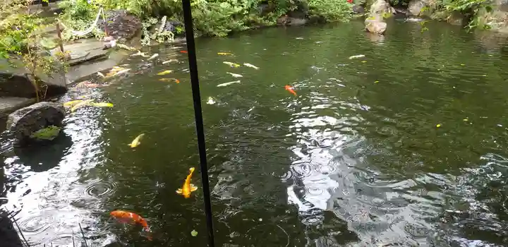 愛宕神社の動物