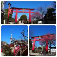 亀戸天神社(東京都)