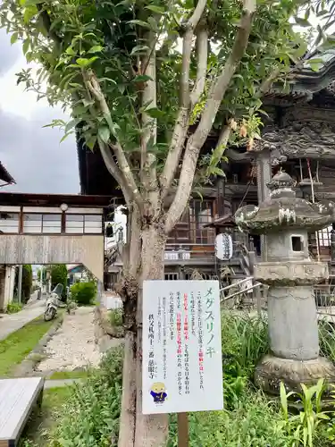 秩父札所十三番 慈眼寺(埼玉県)