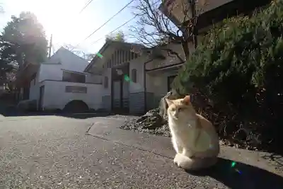 唐澤山神社(栃木県)