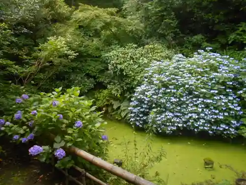 蛇苦止明神（蛇苦止堂）の庭園