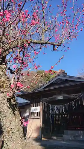 賀茂別雷神社のその他建物