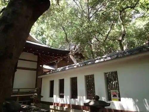 保久良神社の建物その他