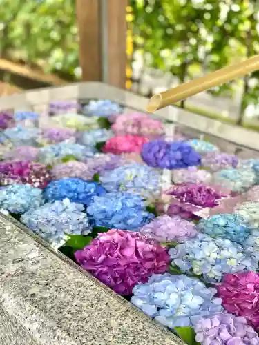 桜神宮(東京都)