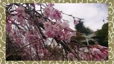 尾久八幡神社(東京都)