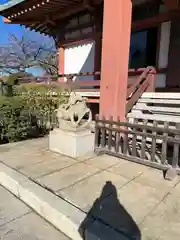 吉祥寺の狛犬