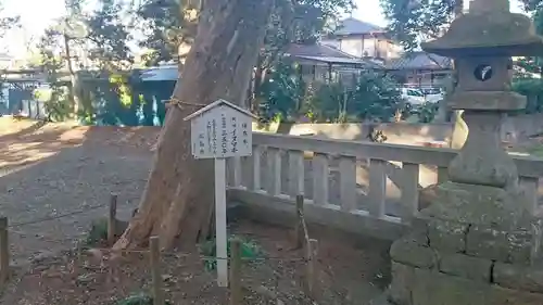 神明宮（御園）(静岡県)