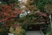 覚苑寺(山口県)