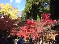 赤山禅院(京都府)