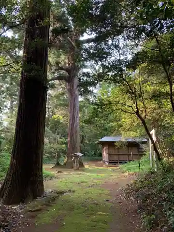 大棟梁大神(千葉県)