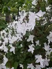 真宗大谷派札幌別院の庭園