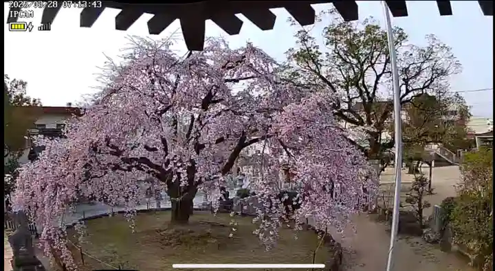 観音神社(広島県)