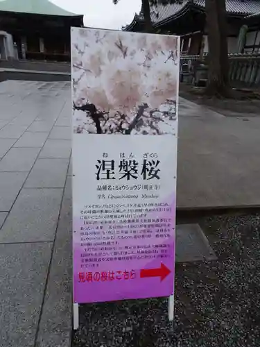 善通寺のその他建物