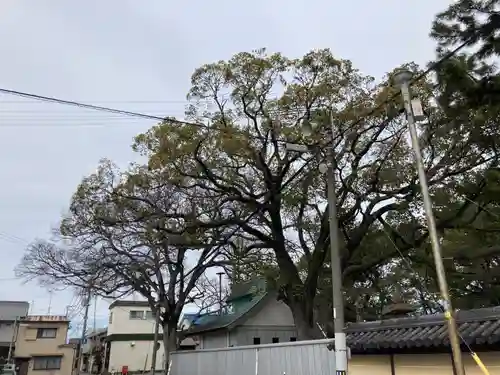 高砂神社の自然