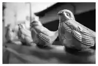 賣布神社のその他建物