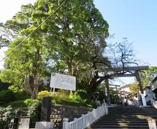 伊勢山皇大神宮の鳥居