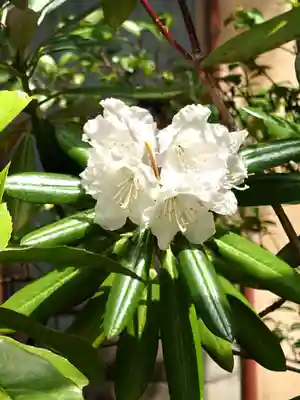 阿邪訶根神社(福島県)