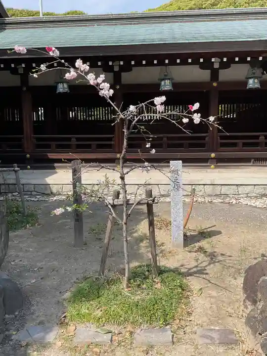 真清田神社(愛知県)