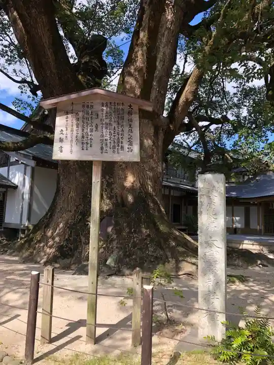 太宰府天満宮の歴史