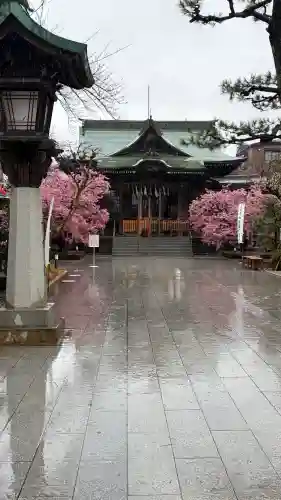 桜神宮の{uncategorized: "未分類", other: "その他", undefined: "問題あり", building: "その他建物", grave: "お墓", sacred_gate: "鳥居", guardian: "狛犬", statue: "像", buddha: "仏像", history: "歴史", nature: "自然", garden: "庭園", animal: "動物", pagoda: "塔", temizu: "手水舎", mountain_gate: "山門・神門", sanctuary: "本殿・本堂", subordinate: "末社・摂社", art: "芸術", scenery: "景色", jizo: "地蔵", ema: "絵馬", goshuin: "御朱印", omikuji: "おみくじ", items: "授与品その他", amulet: "お守り", goshuincho: "御朱印帳", eats: "食事", festival: "お祭り", votive_dance: "神楽", shichigosan: "七五三参", wedding: "結婚式", experience: "体験その他", initially: "初詣", around: "周辺", anti_infection: "感染症対策"}