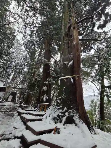 白山比咩神社(石川県)