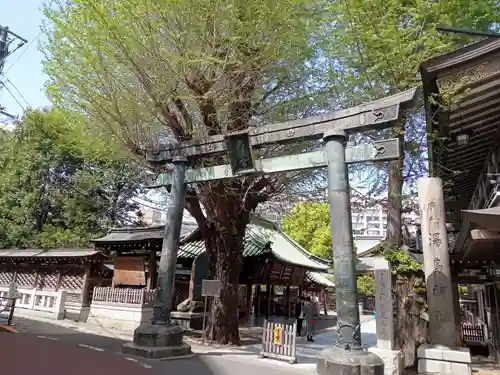 湯島天満宮の鳥居