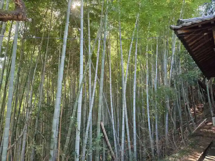 大宮神社(東京都)