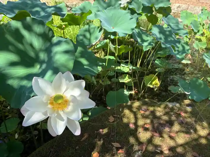 長谷寺(奈良県)