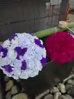 上尾御嶽神社の手水舎