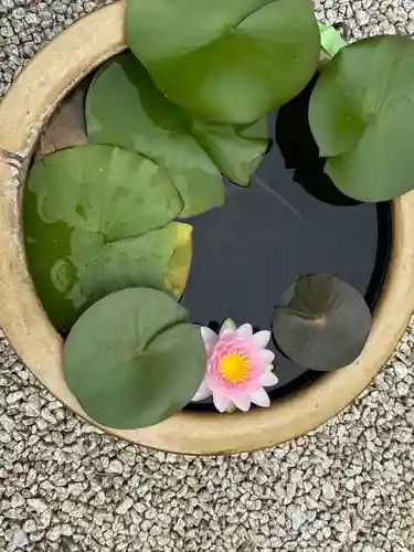 妙音寺の庭園