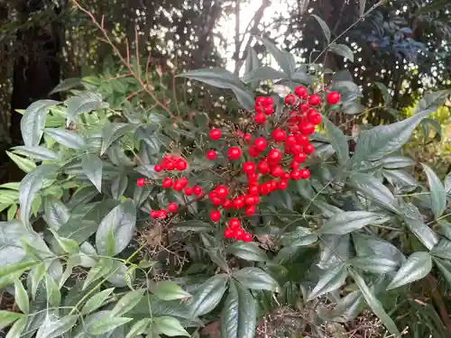日枝神社の自然