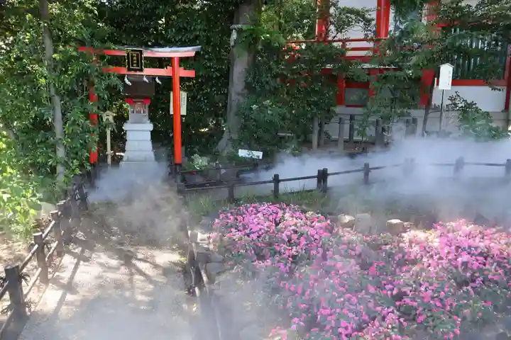 川越八幡宮(埼玉県)