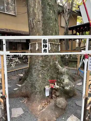 小芝八幡宮(静岡県)