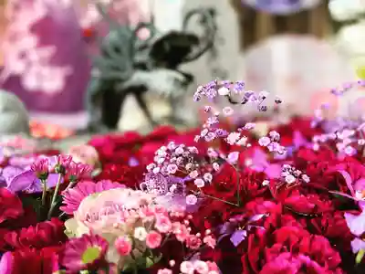 札幌諏訪神社の手水舎